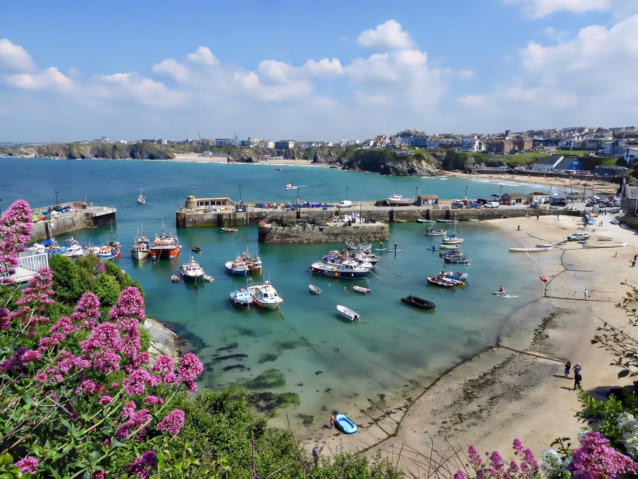 Newquay Harbour View